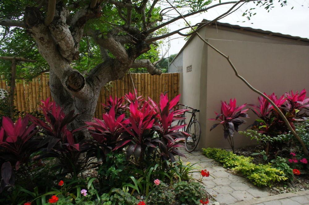 Rincon D'Olon Boutique Hotel المظهر الخارجي الصورة
